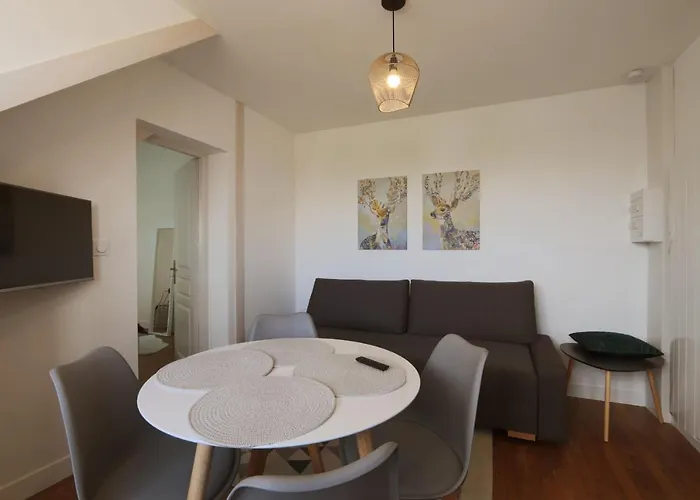 Apartment La Belle Tourangelle#rabelaisien Free Parking